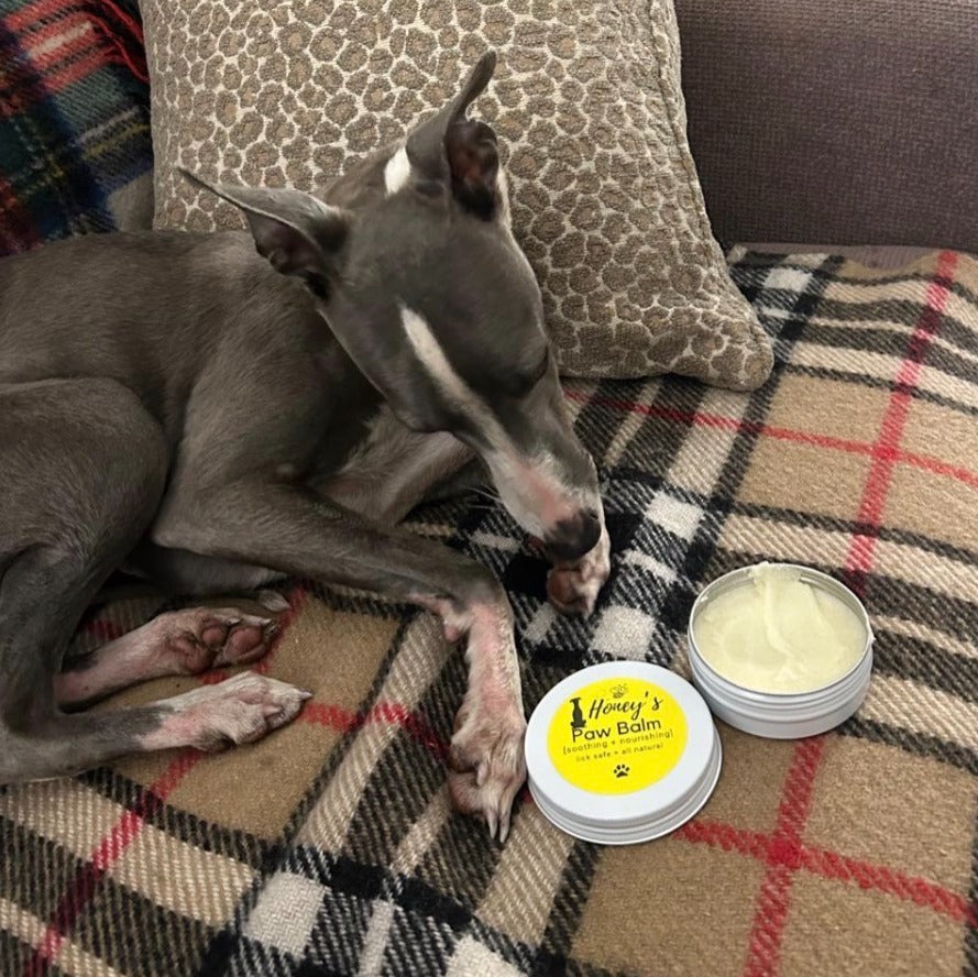 Honey's Paw Balm